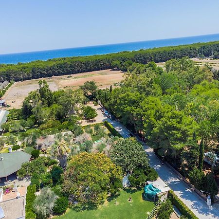 Bio Agriturismo Salos 阿利米尼 外观 照片