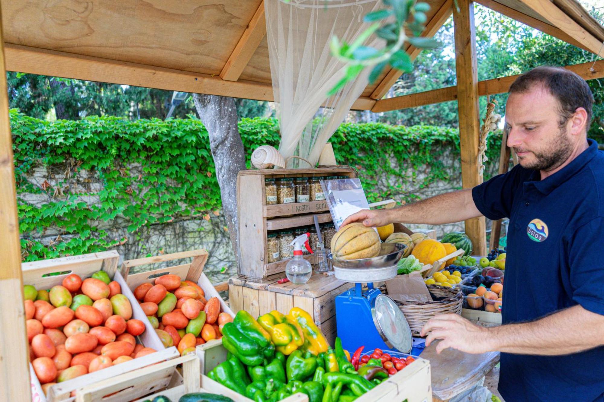 Bio Agriturismo Salos 阿利米尼 外观 照片