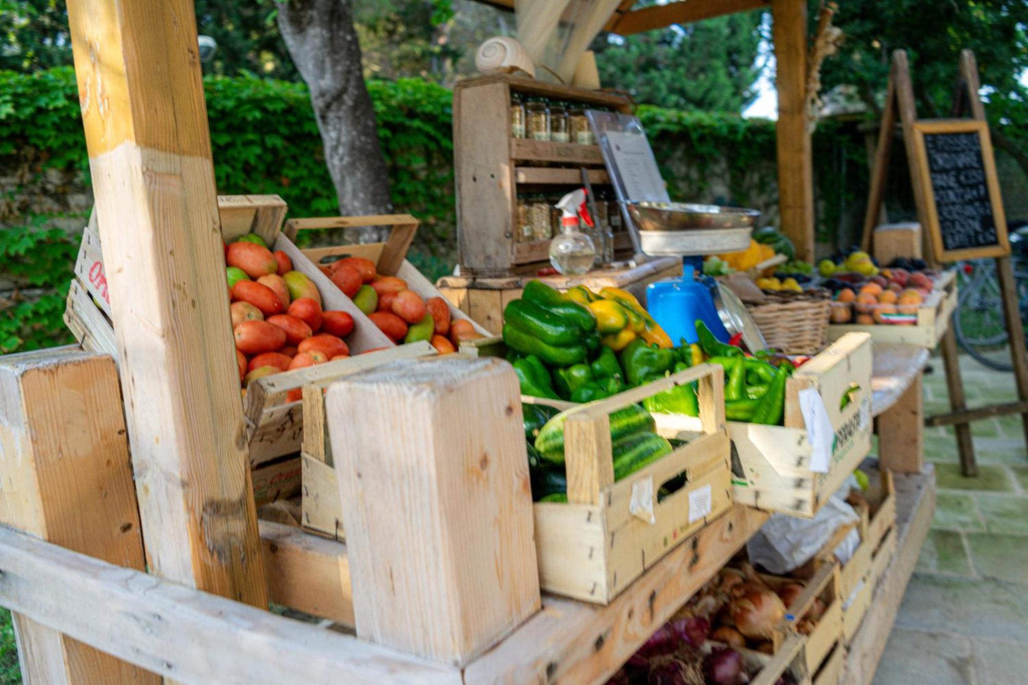 Bio Agriturismo Salos 阿利米尼 外观 照片