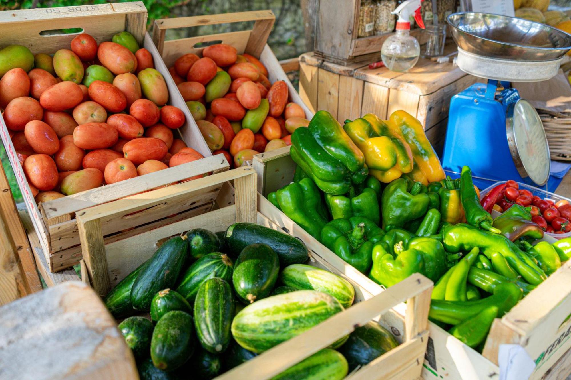 Bio Agriturismo Salos 阿利米尼 外观 照片