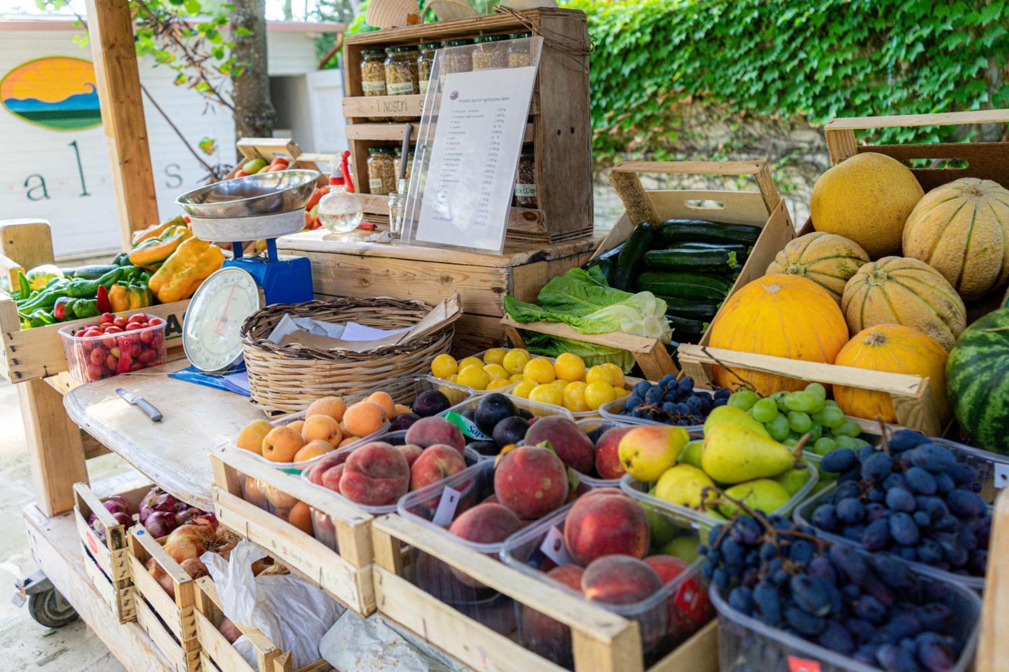 Bio Agriturismo Salos 阿利米尼 外观 照片