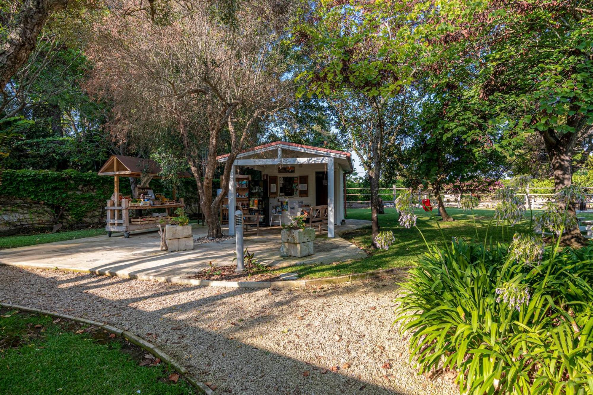 Bio Agriturismo Salos 阿利米尼 外观 照片