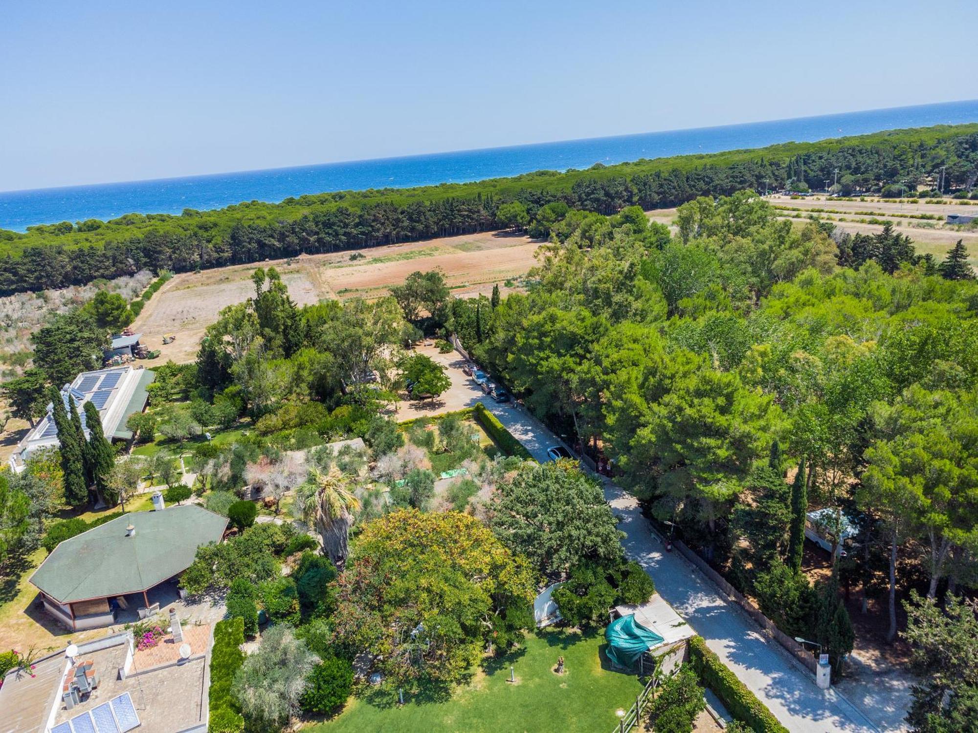 Bio Agriturismo Salos 阿利米尼 外观 照片