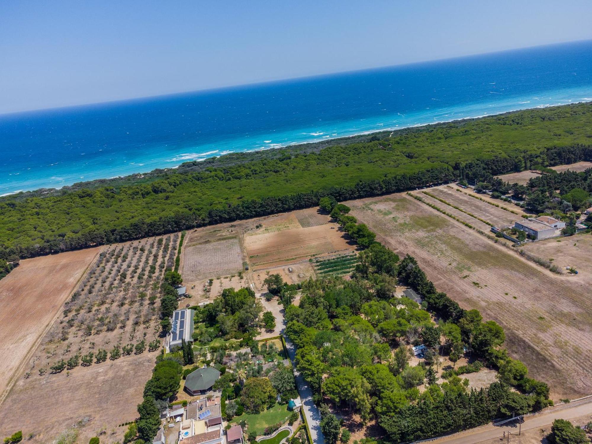 Bio Agriturismo Salos 阿利米尼 外观 照片